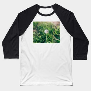 Dandelion Flower Baseball T-Shirt